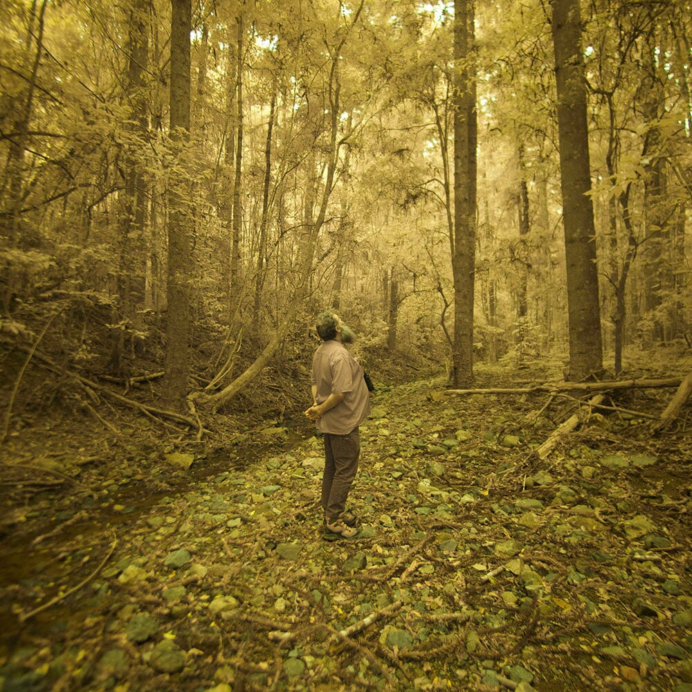 Spectra - Artist Feature: Ross Annels