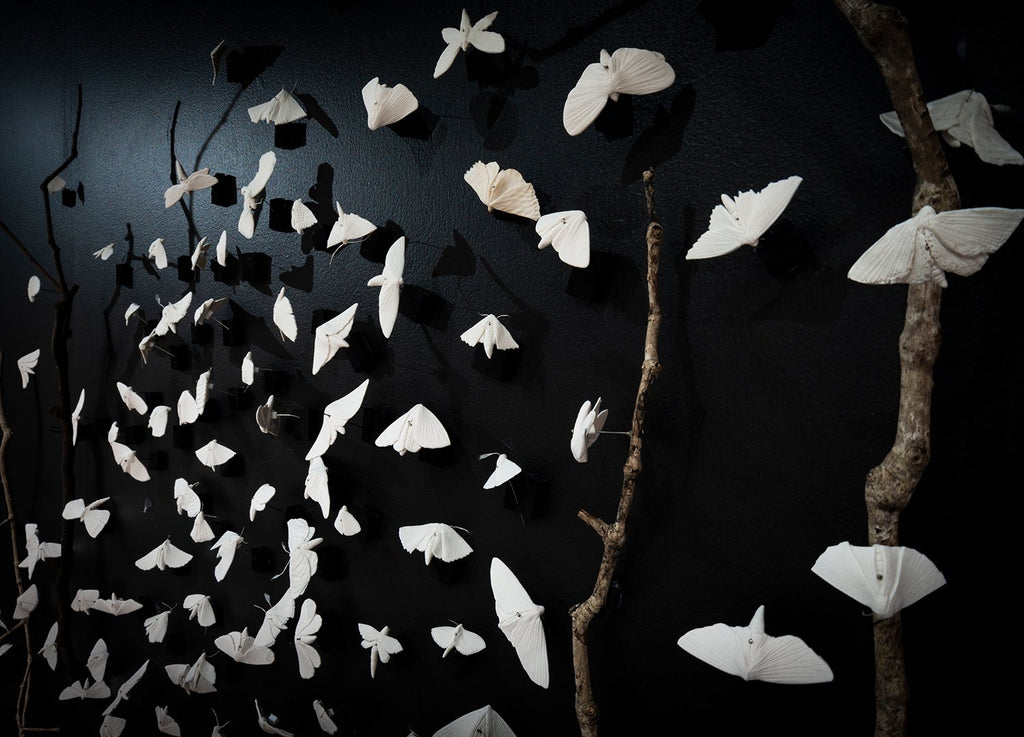 MOTHS Lesley Kendall
