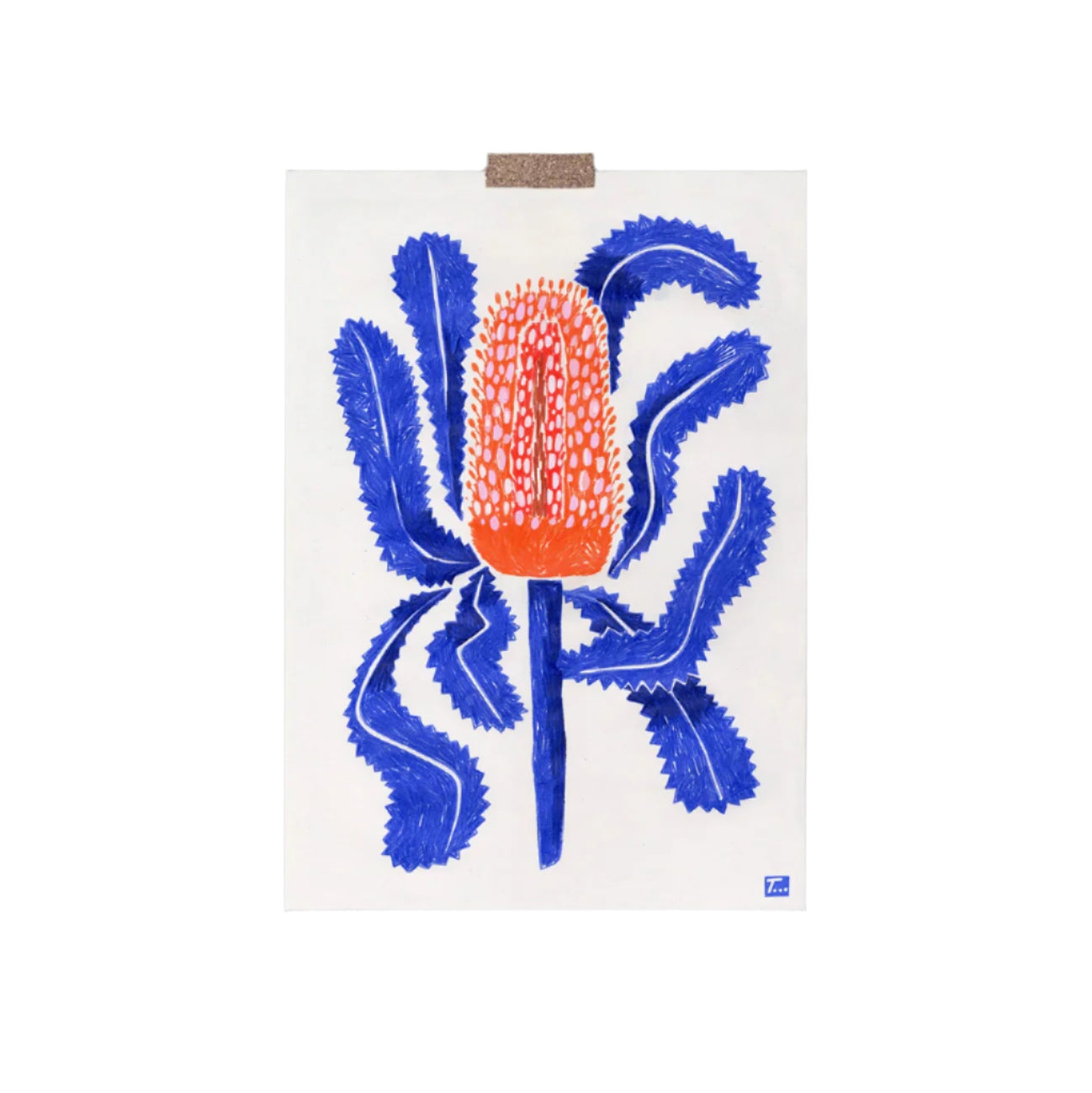 Banksia Greeting Card Cards That Time That