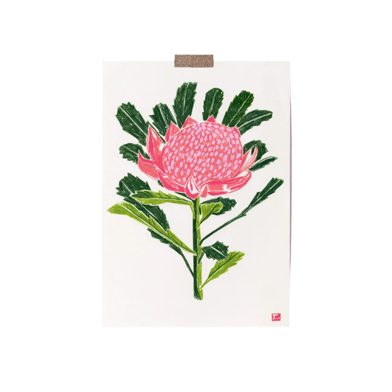 Waratah Greeting Card Cards That Time That