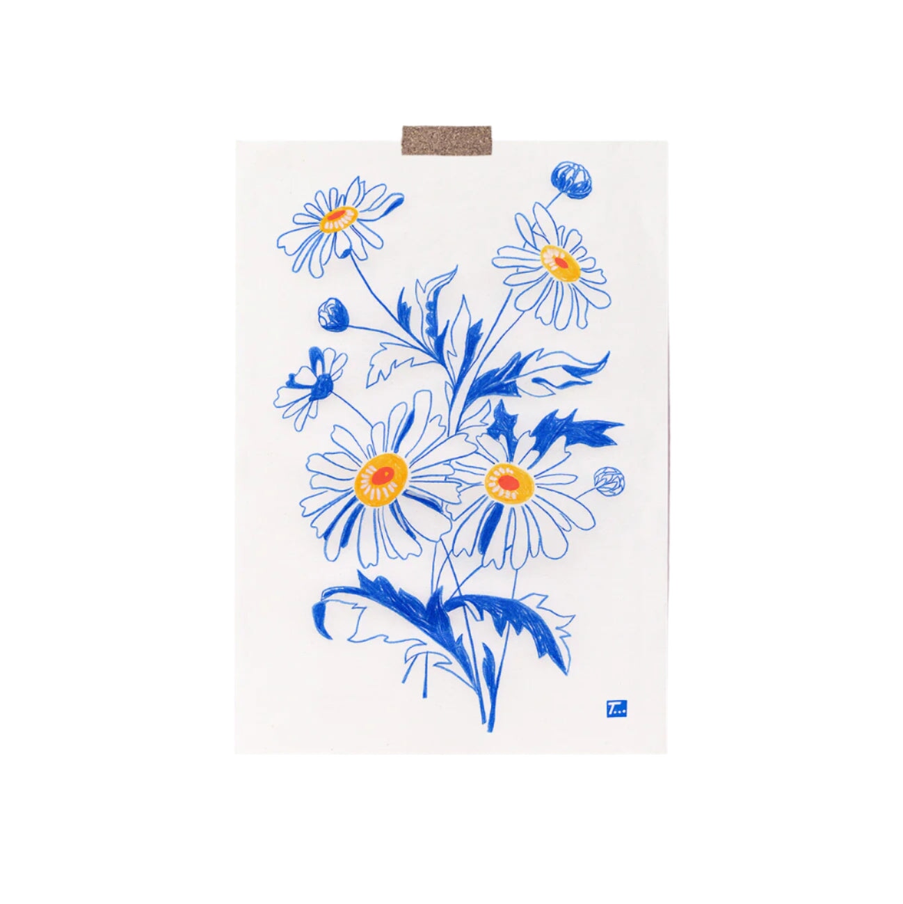 Daisy Greeting Card Cards That Time That