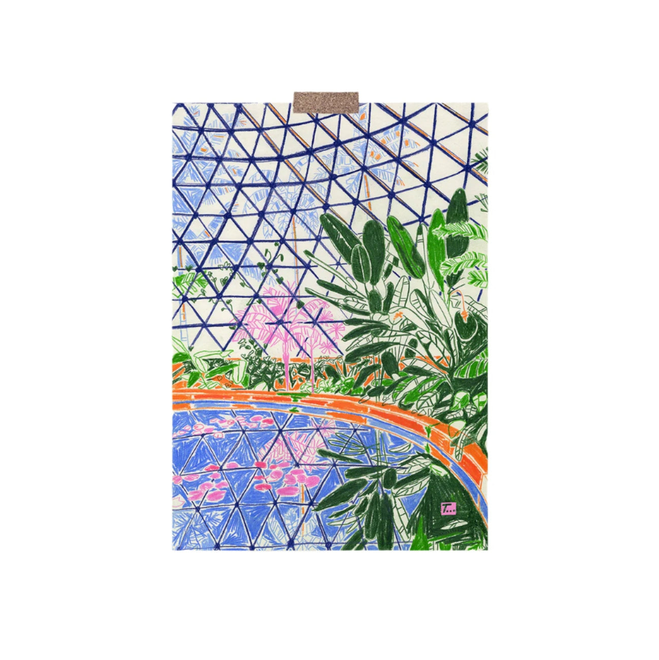 Brisbane Botanic Garden Greeting Card Cards That Time That