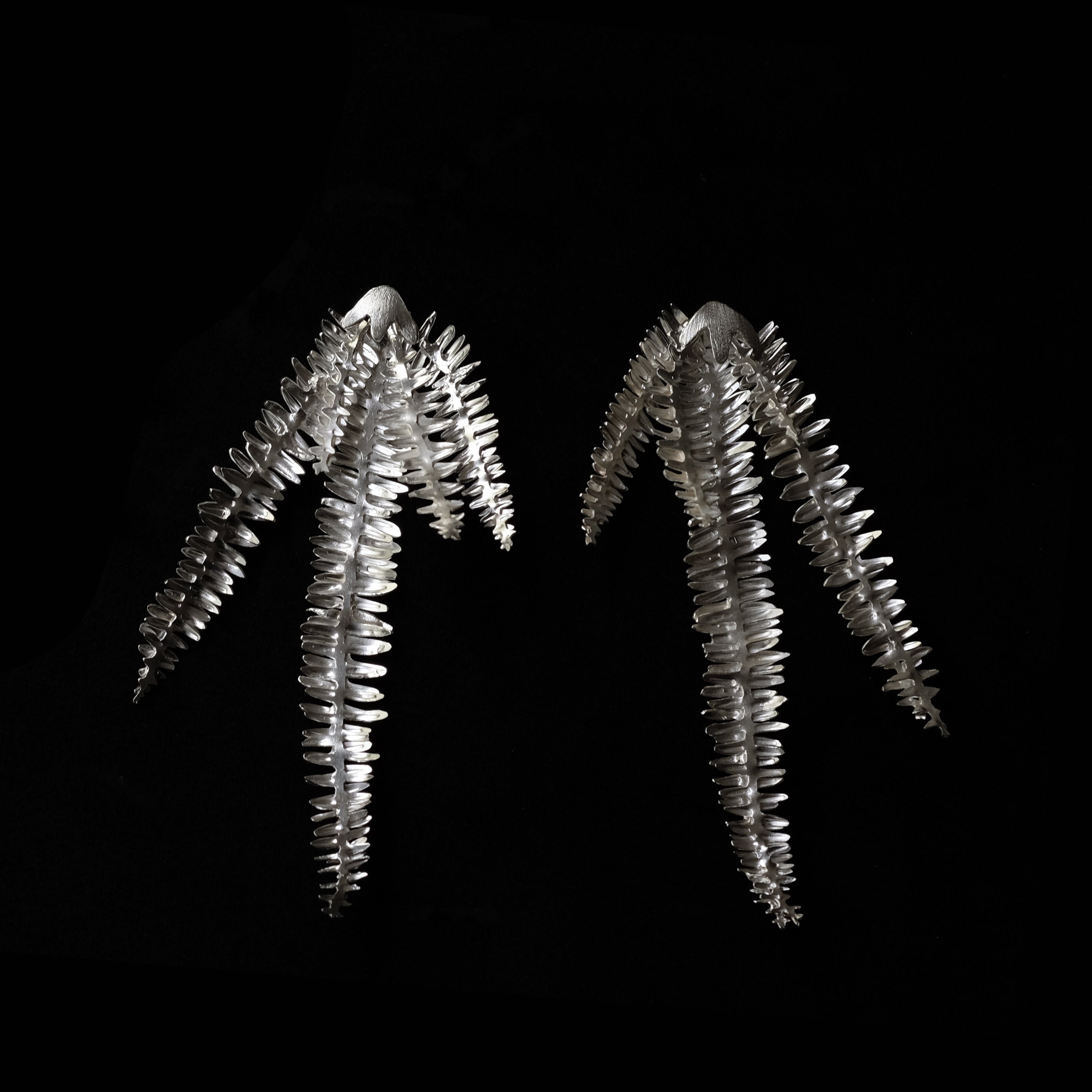 Unruly Garden: Fishbone Fern Jewellery Alicia Allan