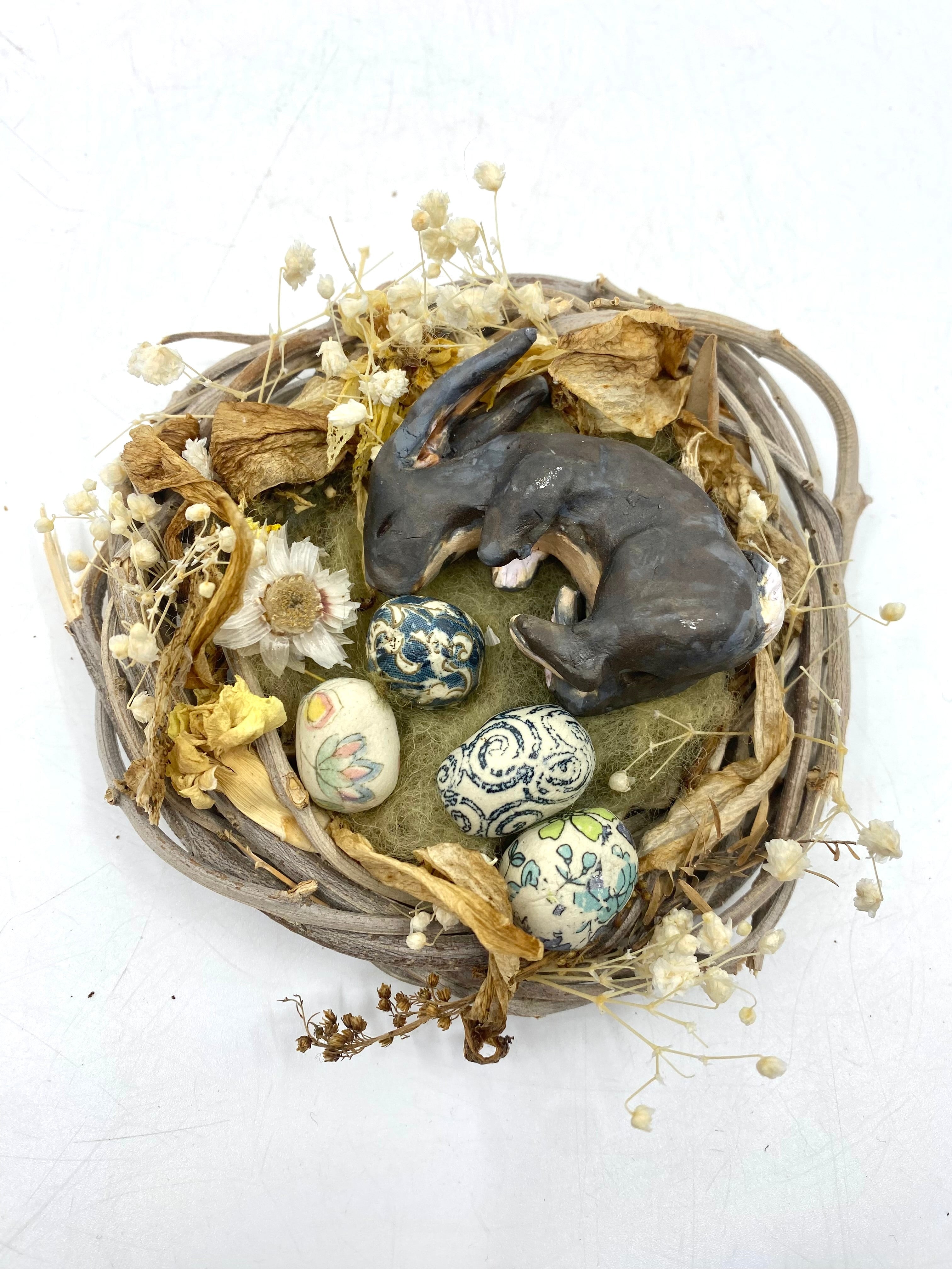Rabbit in Nest
