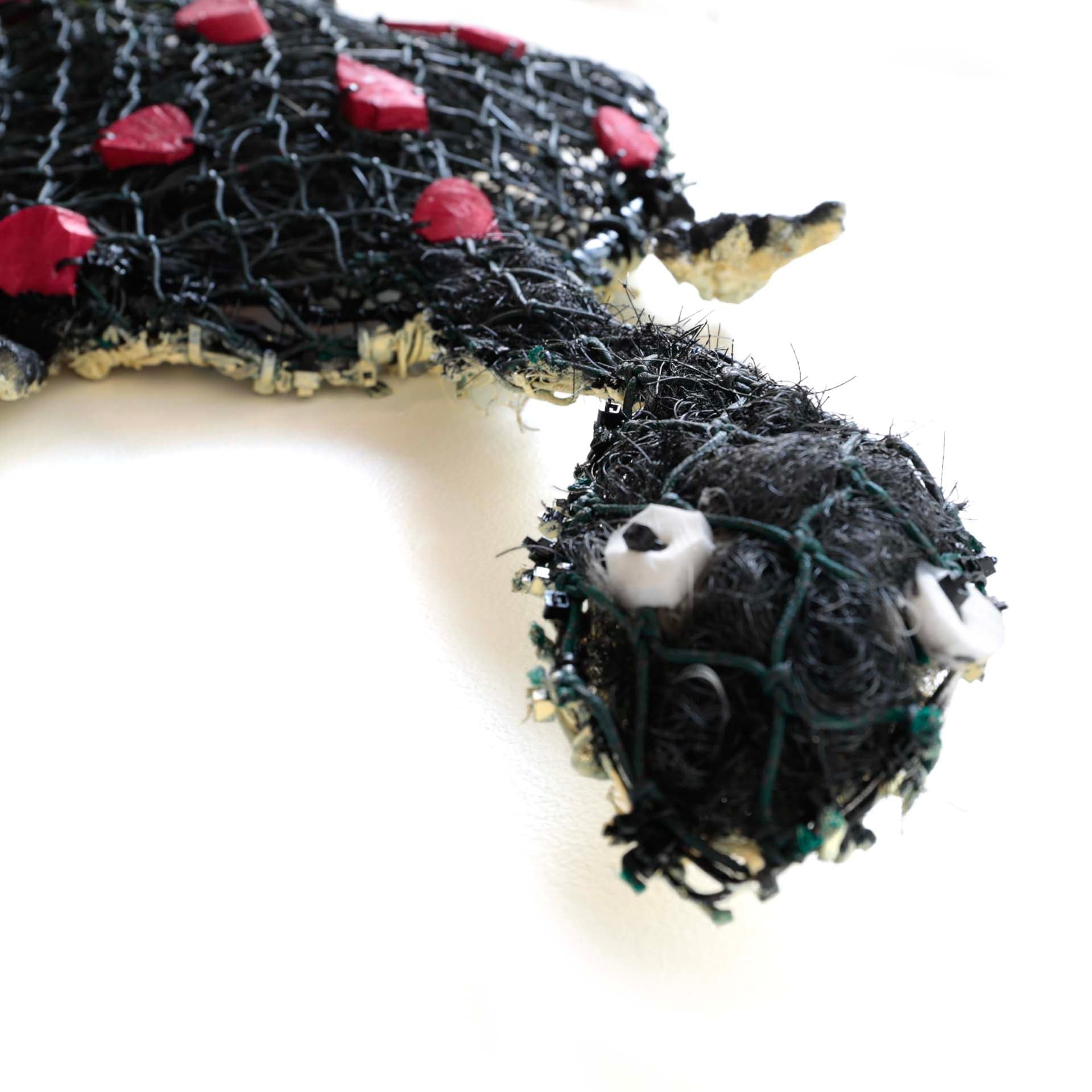 Mavis Benjamin Julie (Ngok Thaathunpum) - Long Neck Turtle - 111-24 Textiles & Fibre Art Pormpuraaw Art & Culture Centre