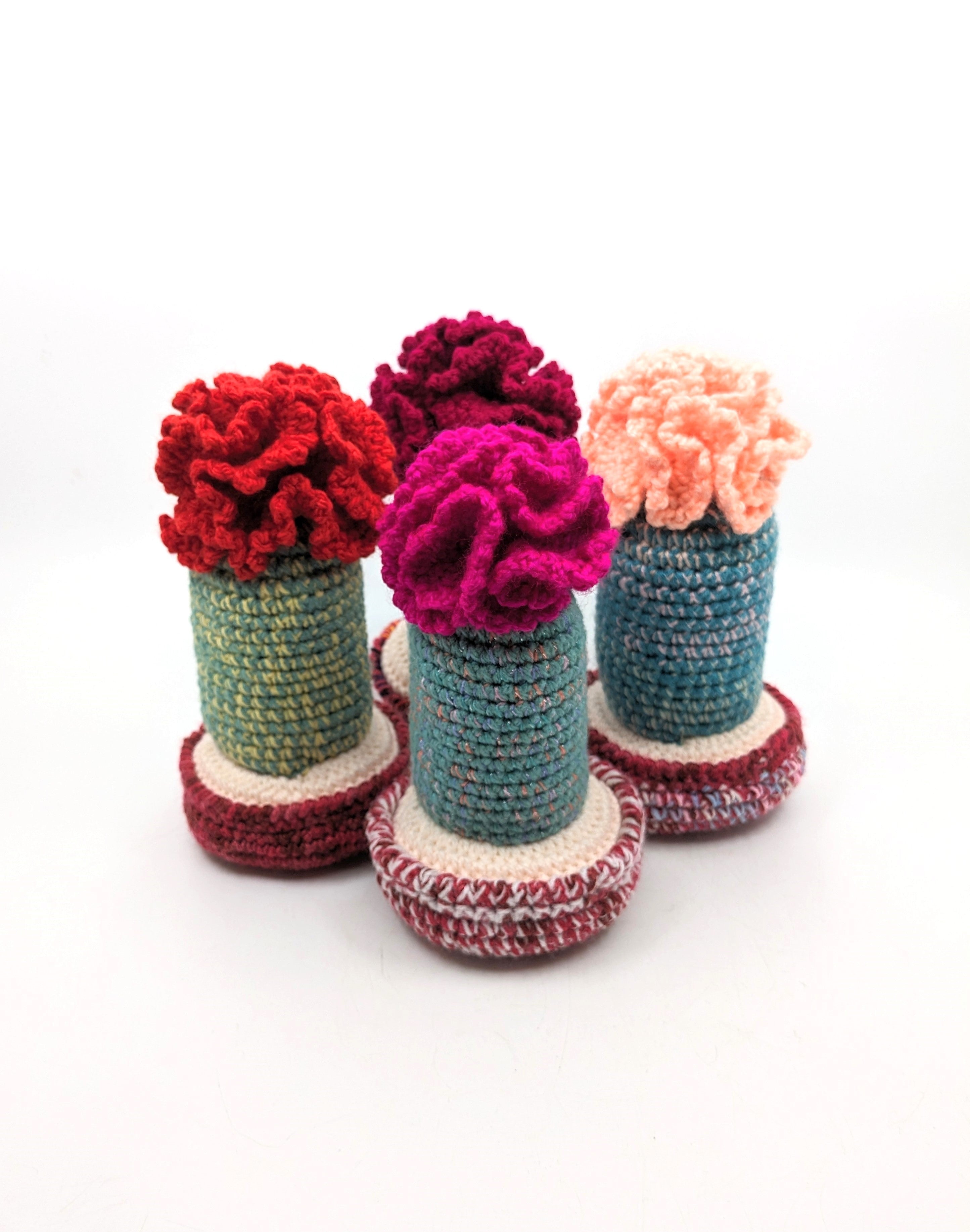 Assorted Cactuses - Millie Radovic