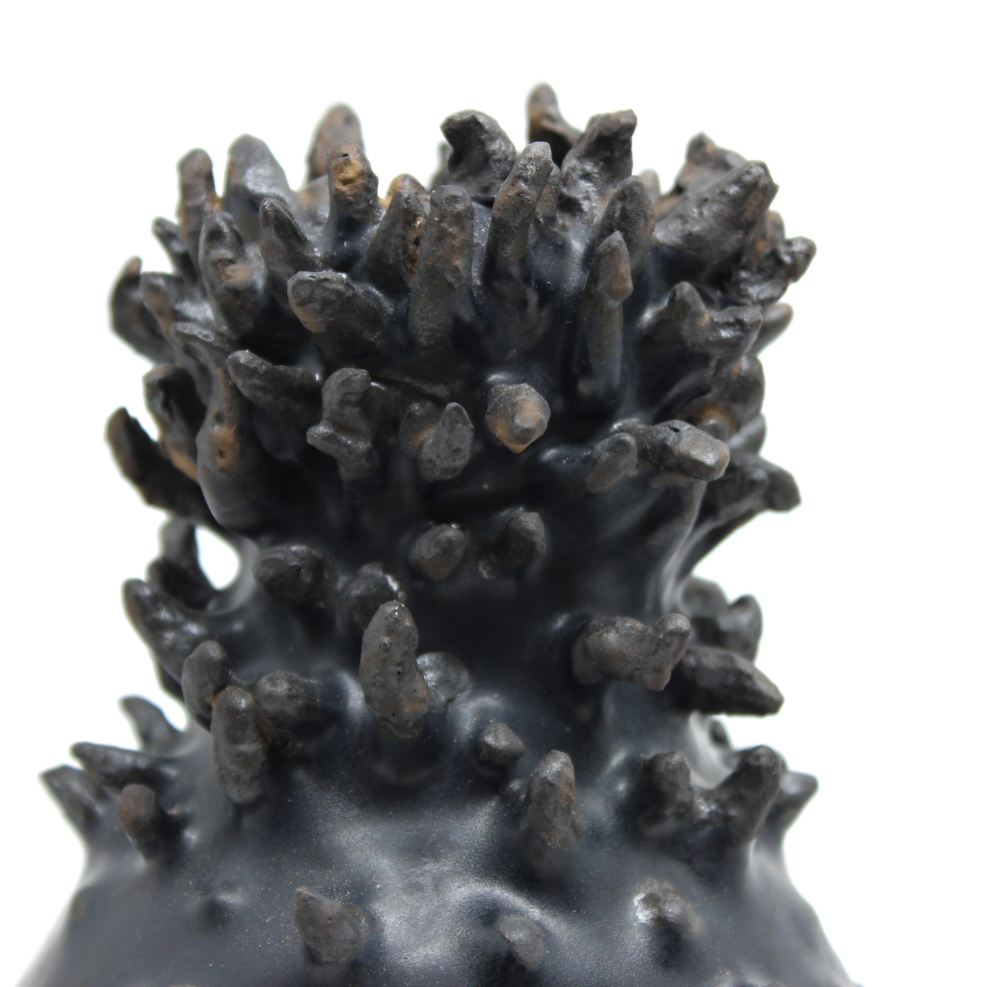 Bristled Vase Ceramics Rosie Bird