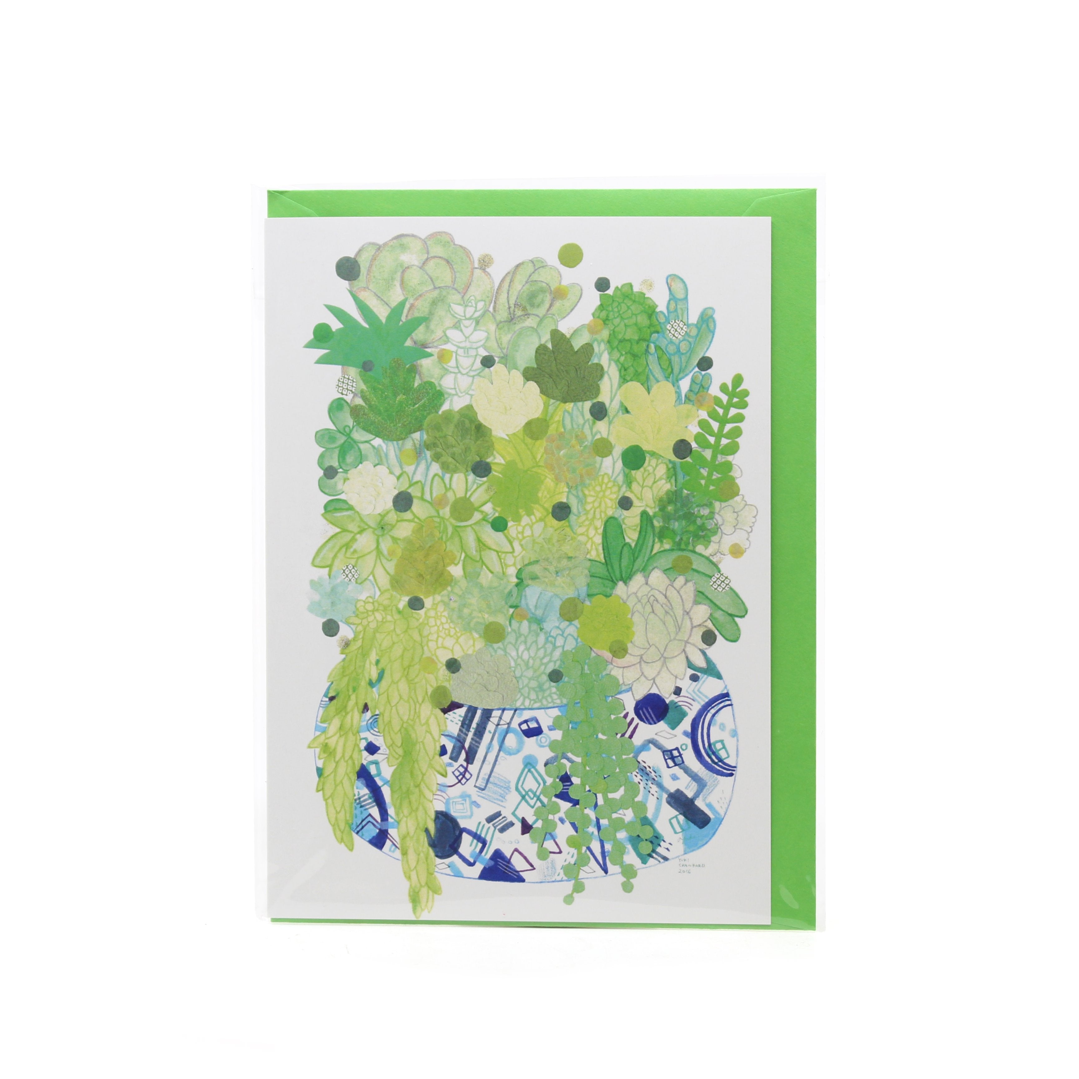 Potted Succulents Cards Yuki Crawford