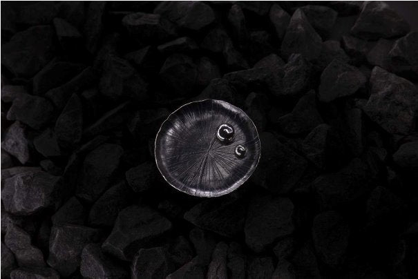 Dark Waters - Ring Mari Hirata