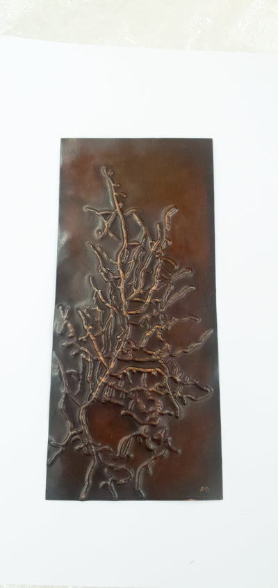 British Marine Algae plates (set of 9 plates) Jewellery and Metalsmith Small Object (Exhibition) Alison McDonald 
