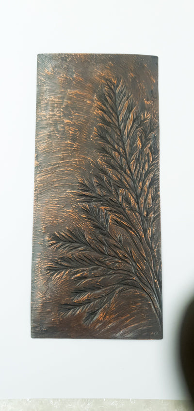 British Marine Algae plates (set of 9 plates) Jewellery and Metalsmith Small Object (Exhibition) Alison McDonald 