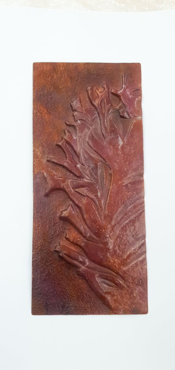 British Marine Algae plates (set of 9 plates) Jewellery and Metalsmith Small Object (Exhibition) Alison McDonald 9 plates 