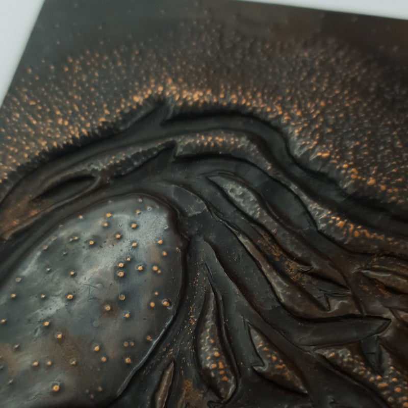 British Marine Algae plates (set of 9 plates) Jewellery and Metalsmith Small Object (Exhibition) Alison McDonald 9 plates 