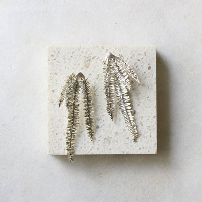 Unruly Garden: Fishbone Fern