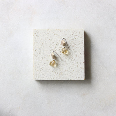 Earrings - Articulated Crystal