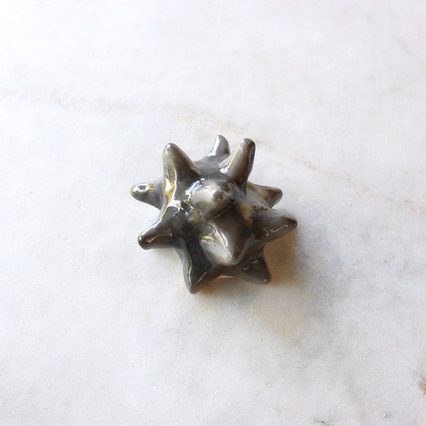 Black glossy starfish Ceramics Minqi Gu 