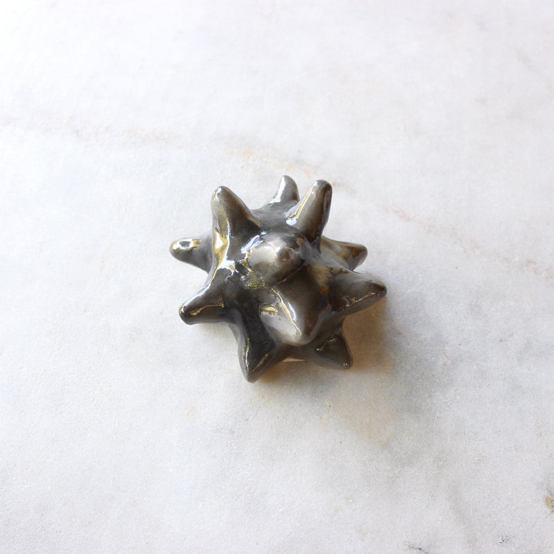 Black glossy starfish Ceramics Minqi Gu 