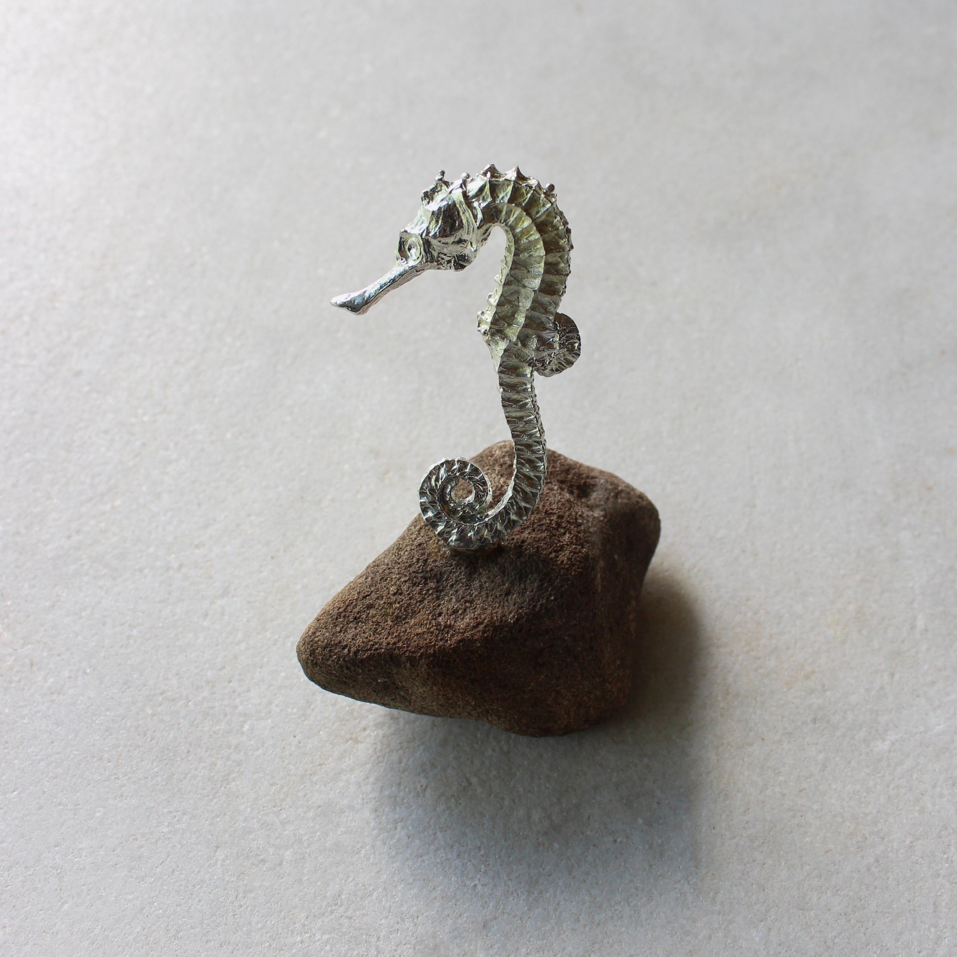 Seahorse Ceramics deb mostert 