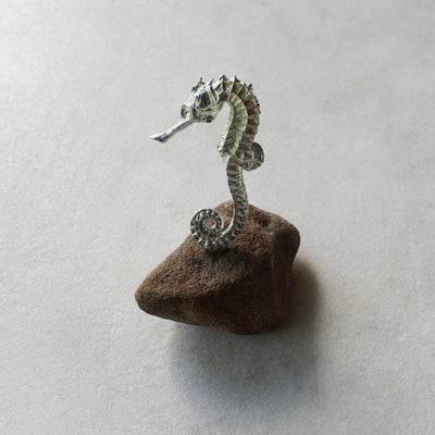Seahorse