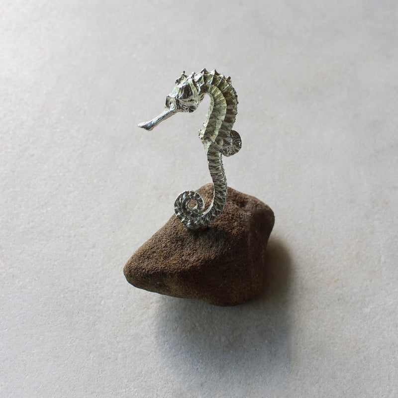 Seahorse Ceramics deb mostert 