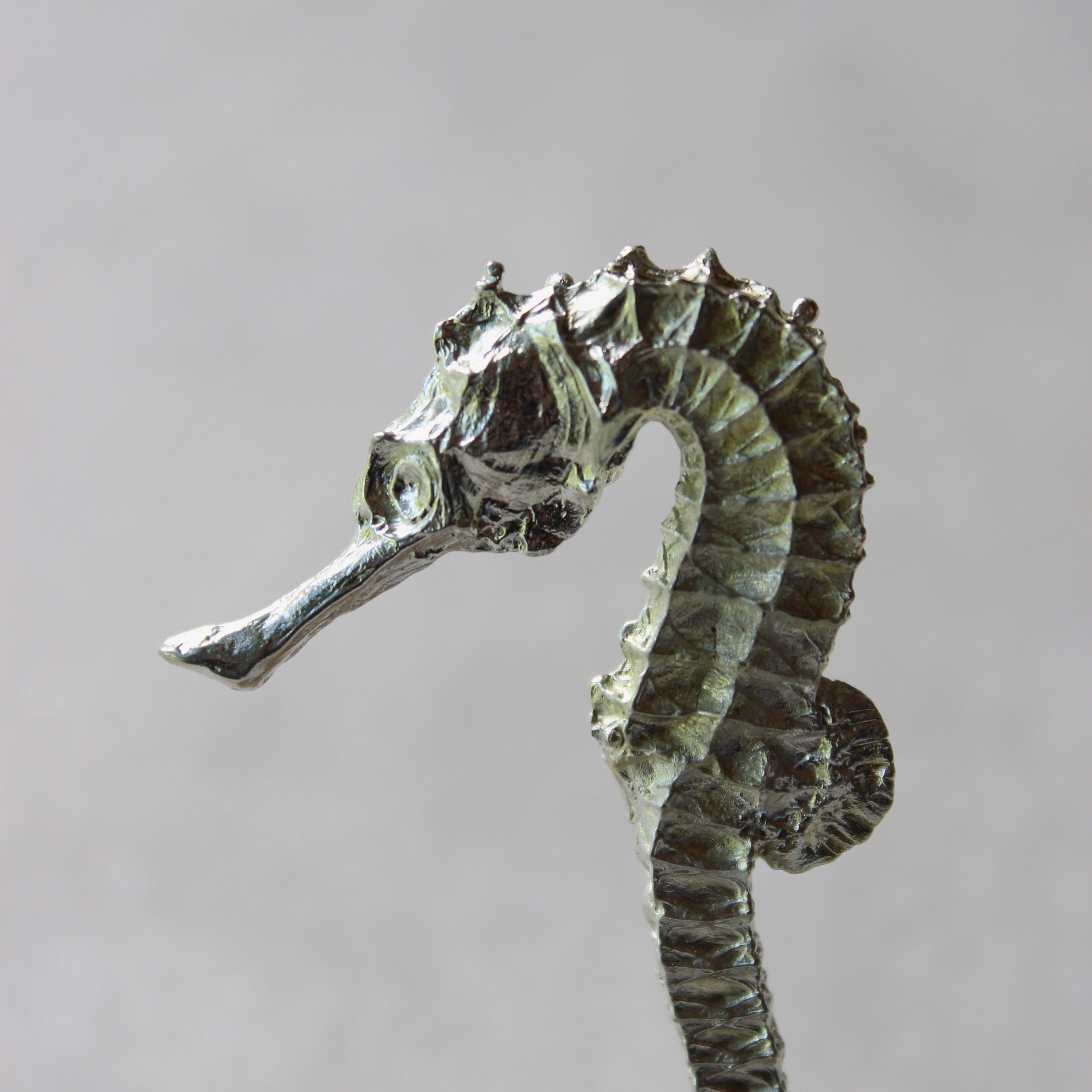 Seahorse Ceramics deb mostert 