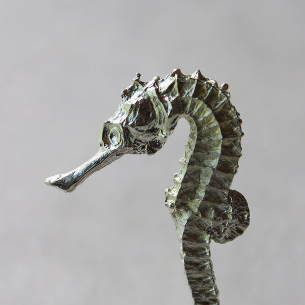 Seahorse Ceramics deb mostert 
