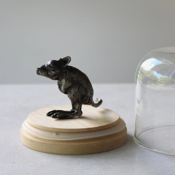Bettong Ceramics deb mostert 
