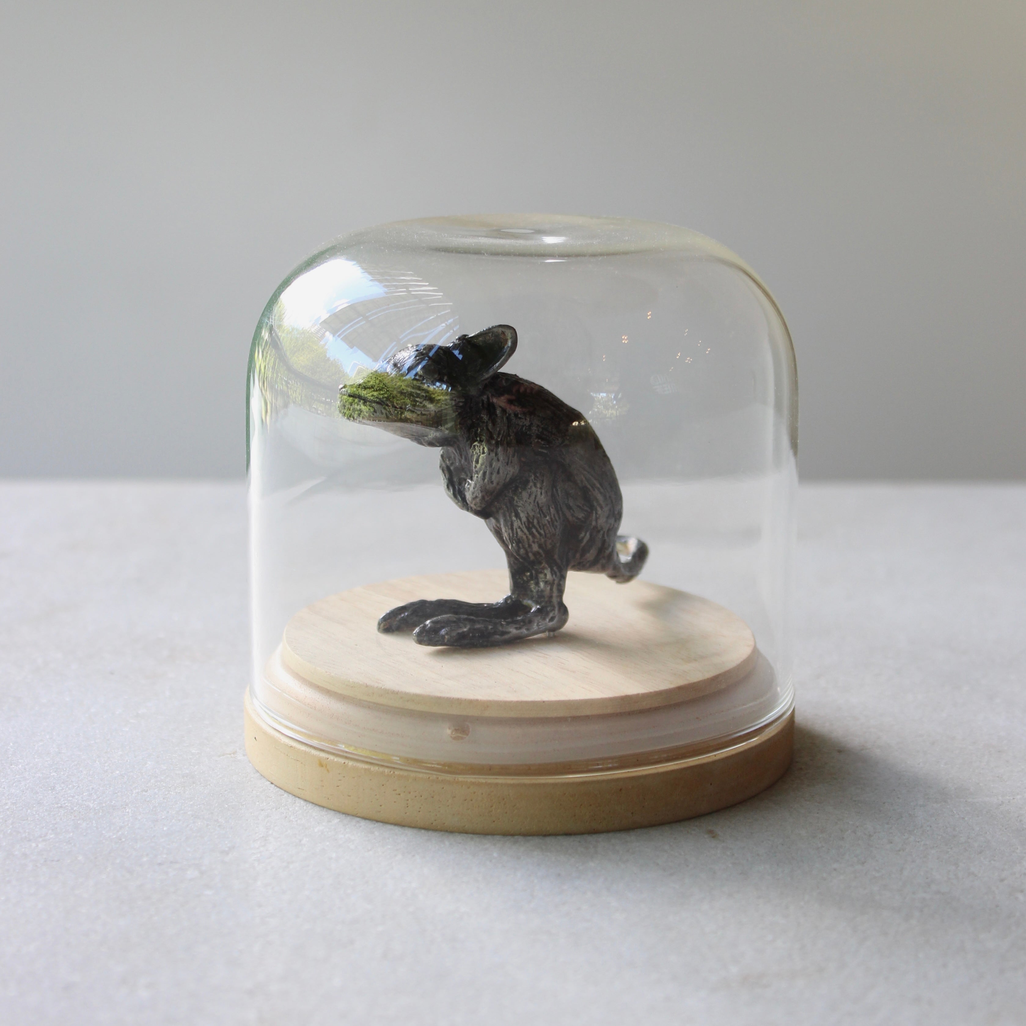 Bettong Ceramics deb mostert 