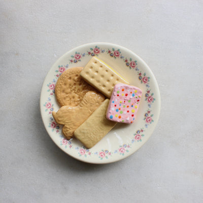 Deliciously Inedible Family Favourites (Large Plate) 5 biscuits Ceramics Julya Hegarty 5 