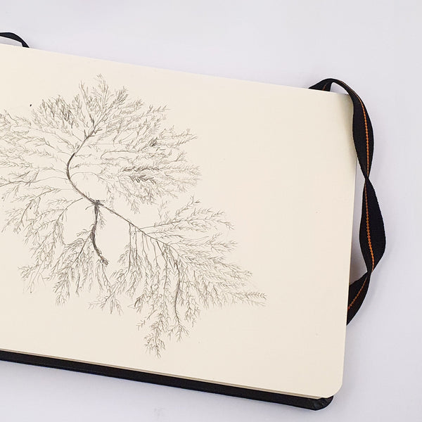 [NFS] Sketchbook 2023 Jewellery and Metalsmith Small Object (Exhibition) Alison McDonald 