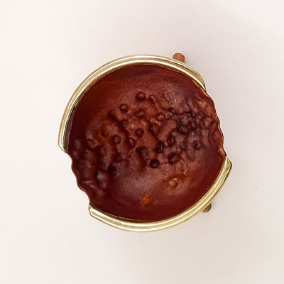Plate 12 Asperococcus compressus vessel Jewellery and Metalsmith Small Object (Exhibition) Alison McDonald 