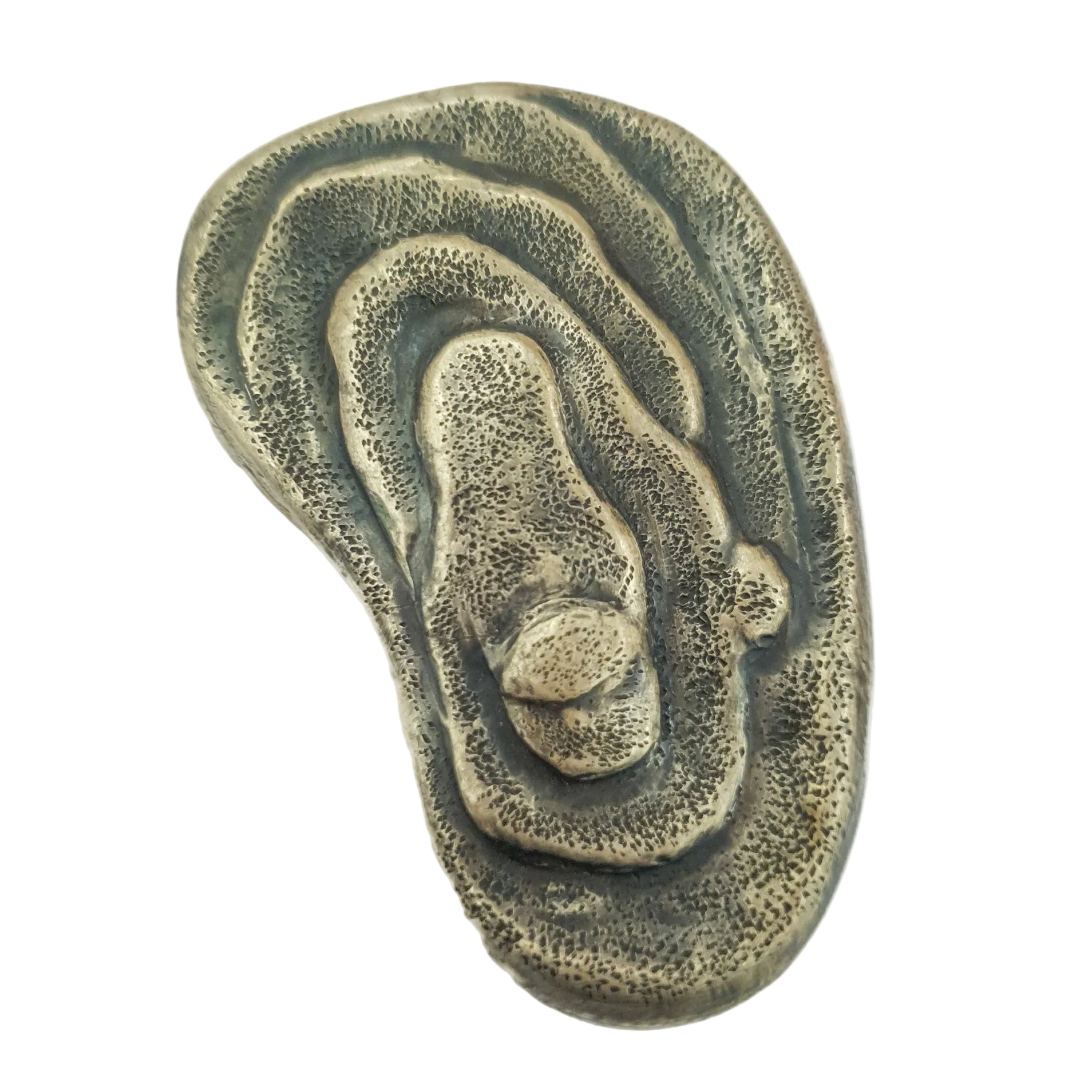 SCHIST brooch