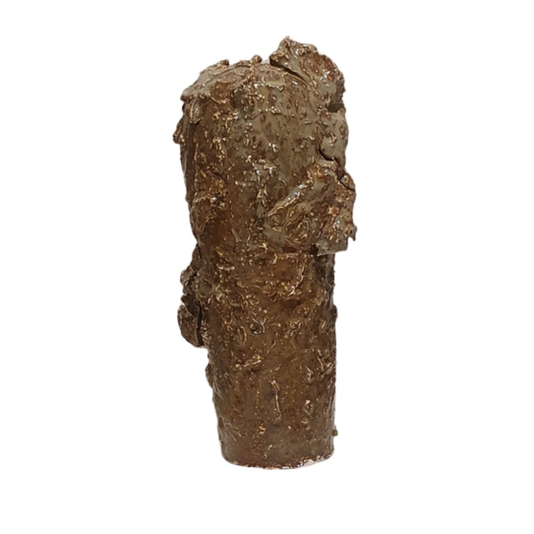 memory's shroud - vessel #25 Ceramics Rachel North 