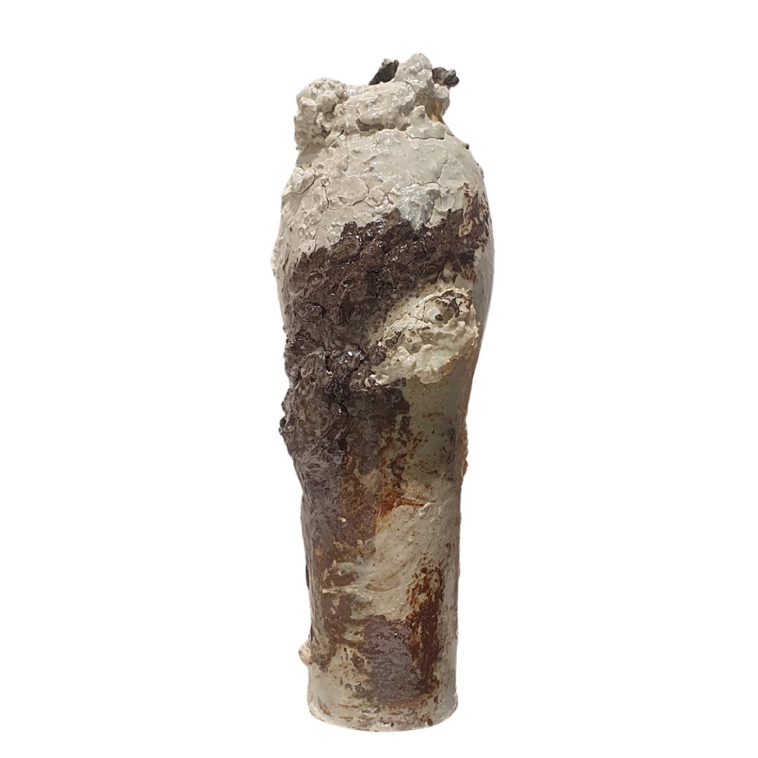 memory's shroud - vessel #28 Ceramics Rachel North 