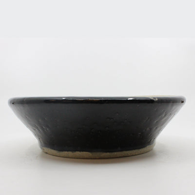 Dog Bowl Ceramics Alicorn Pottery 