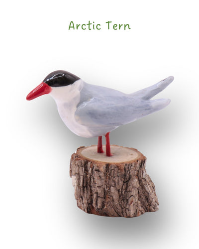 Mini-Bird Series Ceramics Green Bird Ceramics Arctic Tern 