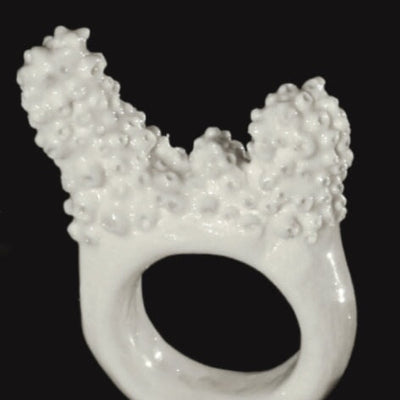 Acropora Muricata - Coral Bleaching Rings