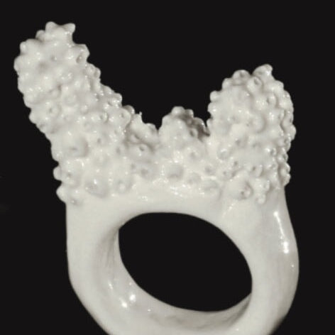 Acropora Muricata - Coral Bleaching Rings Jewellery Rhia Jewellery 