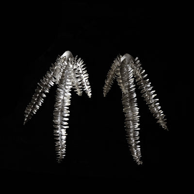 Unruly Garden: Fishbone Fern Jewellery Alicia Allan 