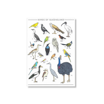 Busy Head - Postcards Cards Busy Head Birds of Queensland 