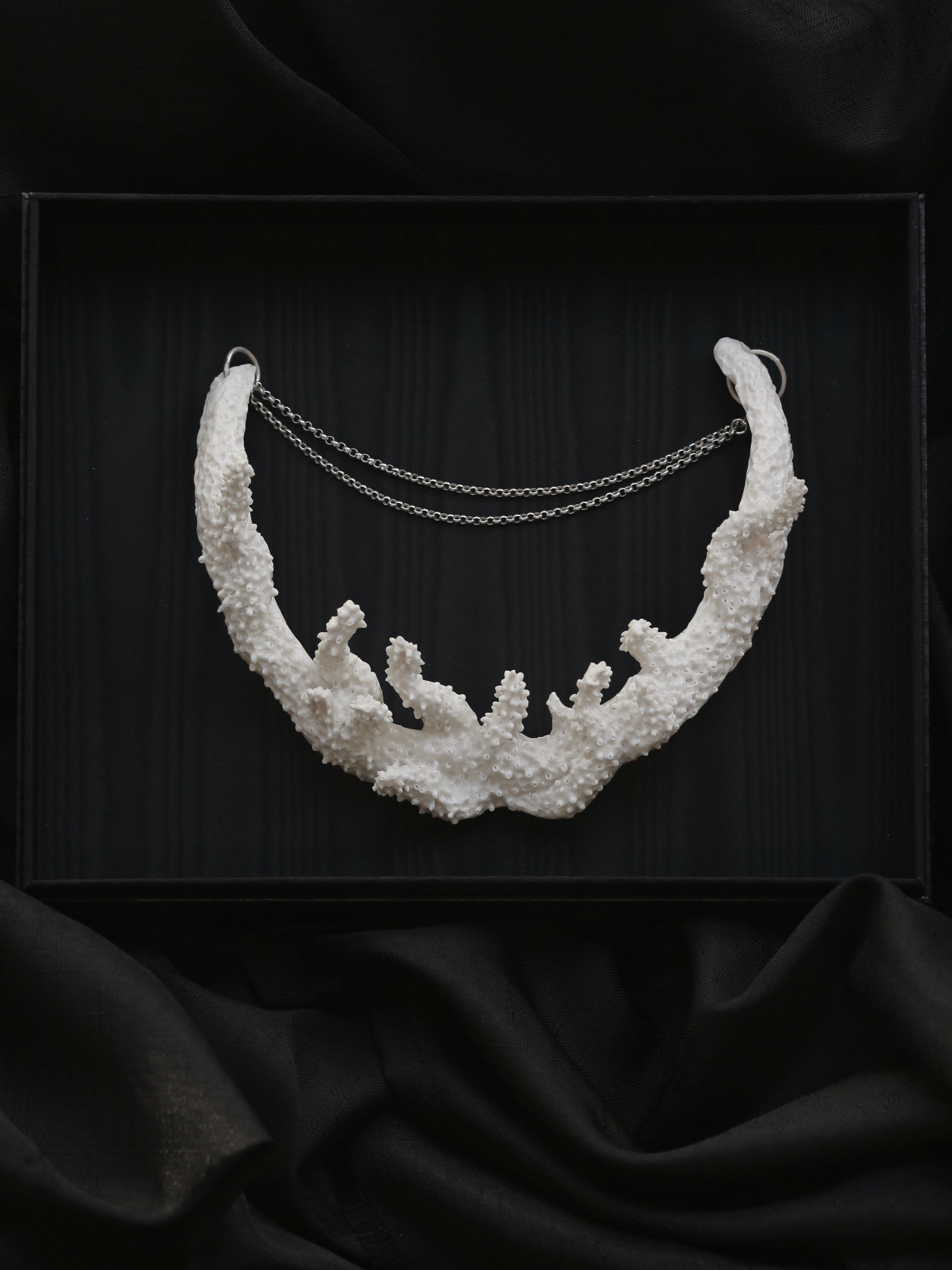 Acropora Muricata - Coral Bleaching Collar Jewellery Rhia Jewellery 