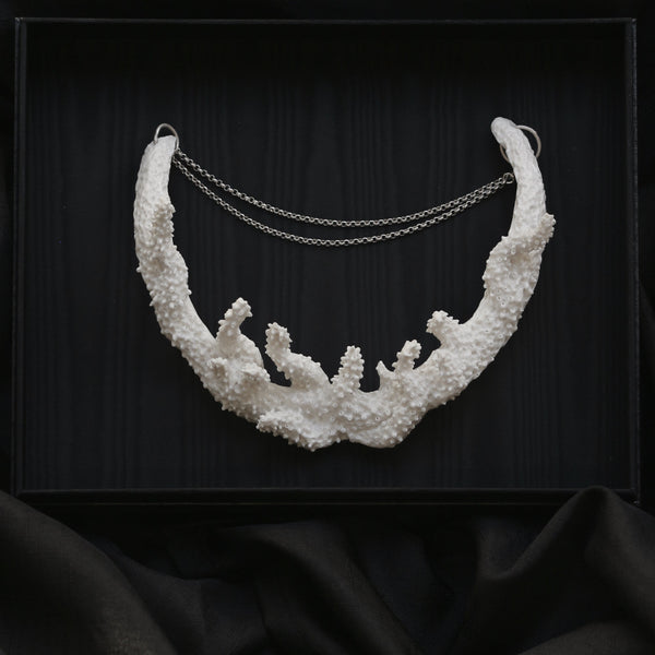 Acropora Muricata - Coral Bleaching Collar Jewellery Rhia Jewellery 
