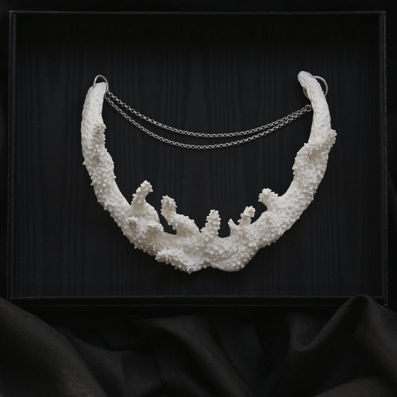 Acropora Muricata - Coral Bleaching Collar Jewellery Rhia Jewellery 