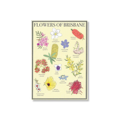 Busy Head - Postcards Cards Busy Head Flowers of Brisbane 