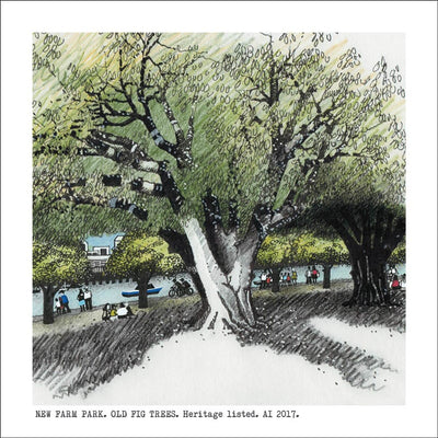 Square Craft Brisbane Greeting Card (various illustrations) Cards Alan Innes New Farm Park. Old Fig Trees. (Heritage Listed) 