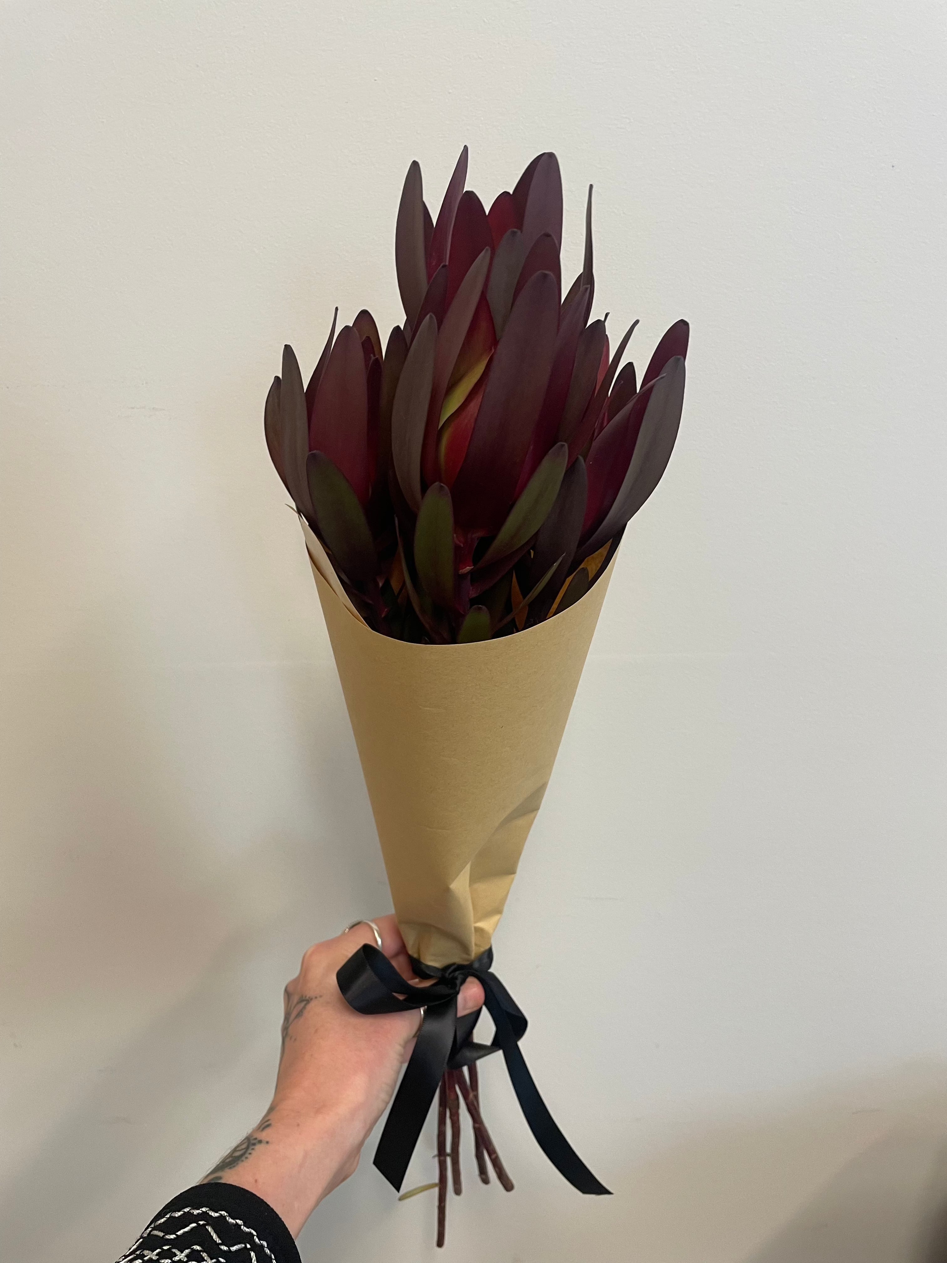 WHIG005 - Snakes and Lovers - Leucadendron Market Bunch