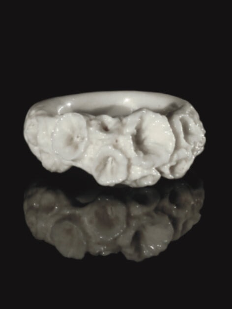 Isophyllastrea Rigida - Coral Bleaching Rings Jewellery Rhia Jewellery 