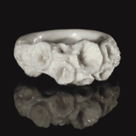 Isophyllastrea Rigida - Coral Bleaching Rings Jewellery Rhia Jewellery 