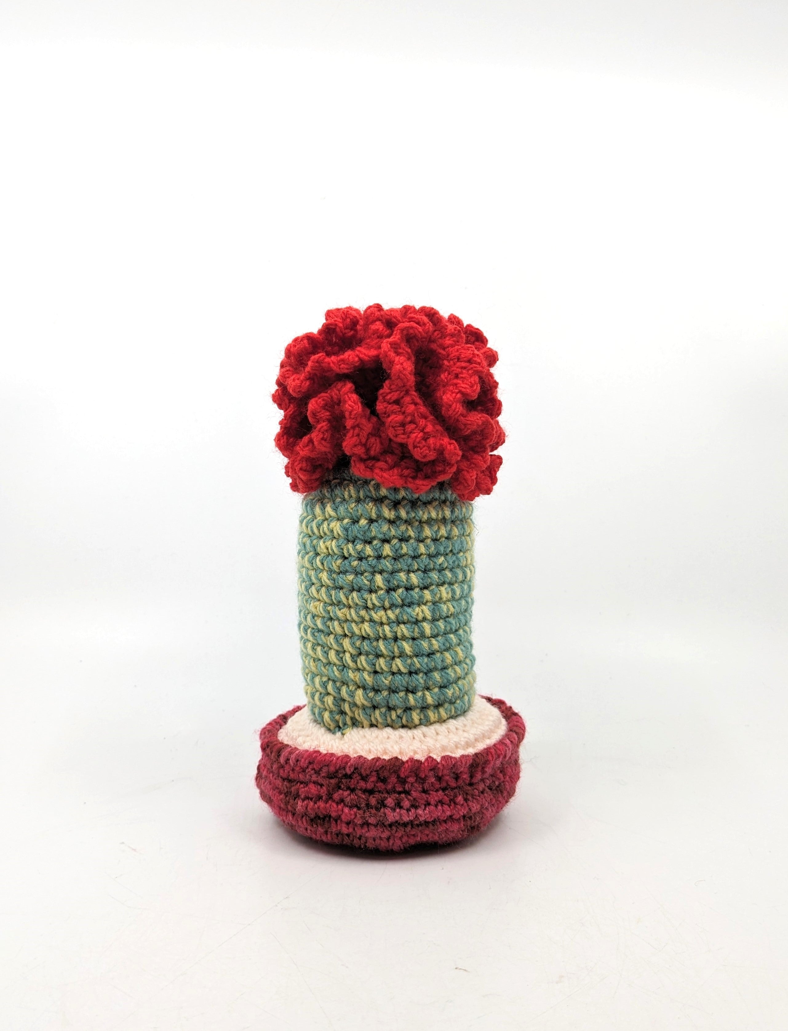 Assorted Cactuses - Millie Radovic Fibre Art artisan Red 