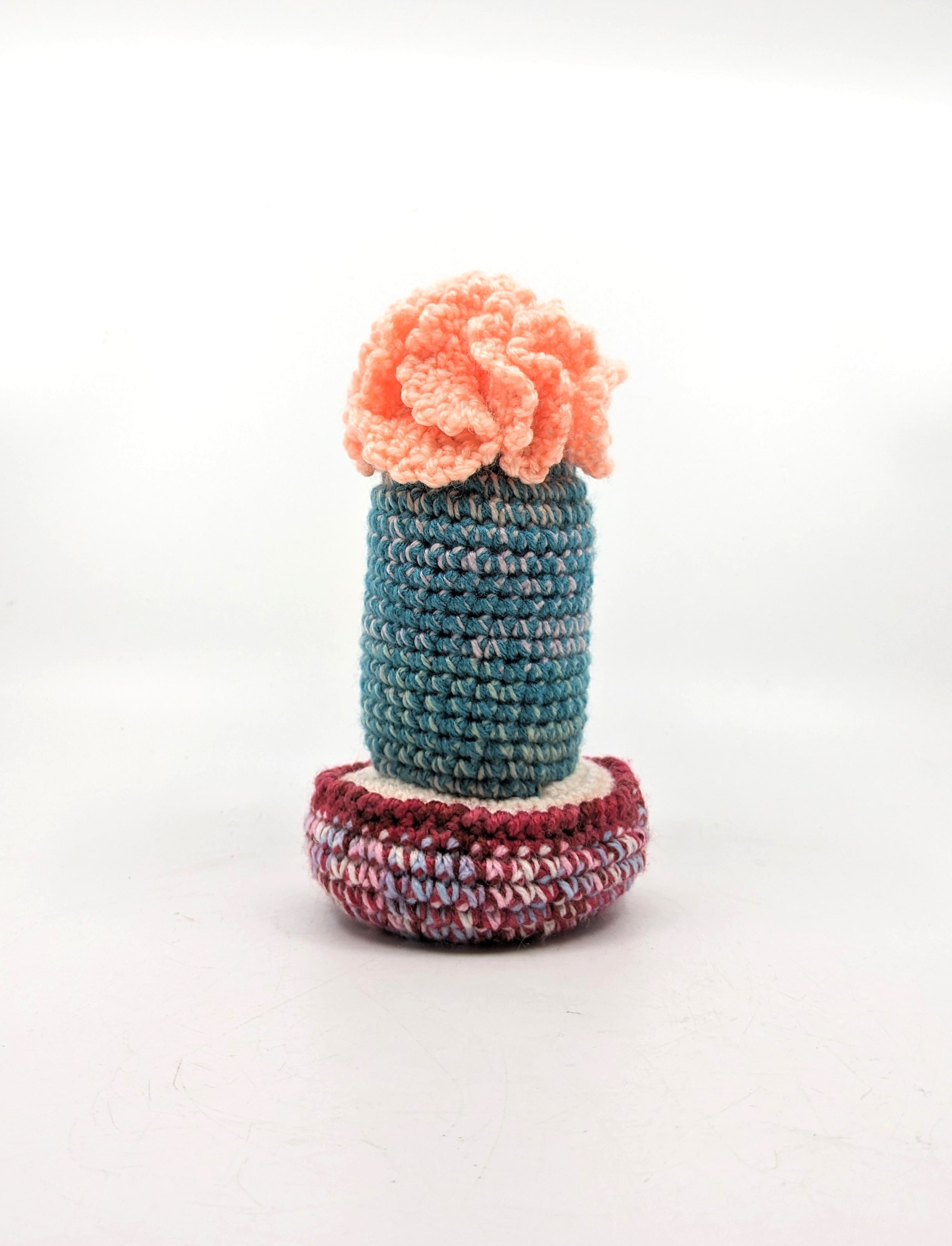 Assorted Cactuses - Millie Radovic Fibre Art artisan Coral 